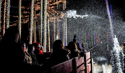 Christmas Festival