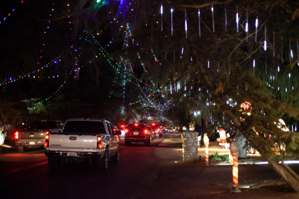 Christmas Tree Lane