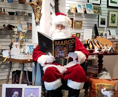 Every Christmas Story Ever Told