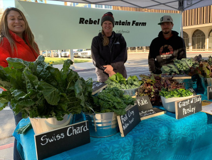 Downtown Farmers Market