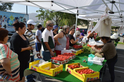 Fontana Farmers Market