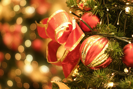 Cloverdale Christmas Tree Festival.v1