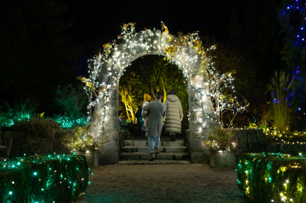 VanDusen Festival of Lights