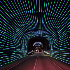 Festival of Lights
