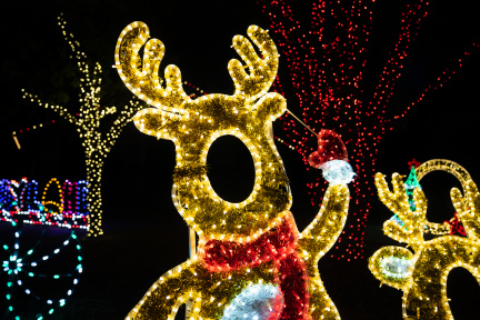 Wild Lights at Cameron Park Zoo