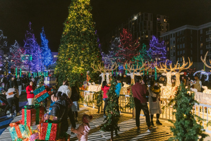 Free Festive Fridays