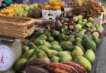 Multi Cultural Farmers Market enhanced