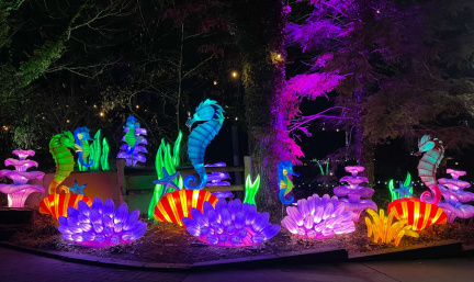 IllumiNights at the Zoo