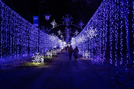 Winterfest Light Stroll