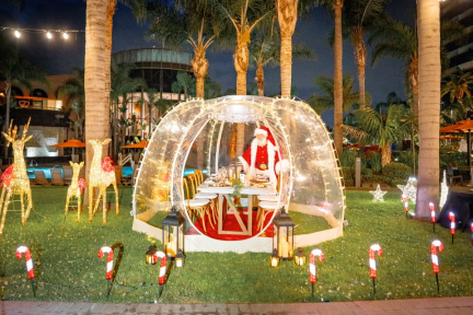 Sleigh Bell Social