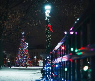 Winter Wonderland