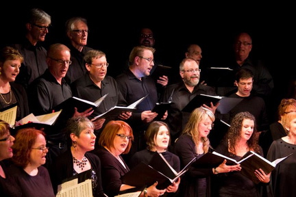 Joy of Vox