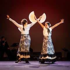 Flamenco Dance
