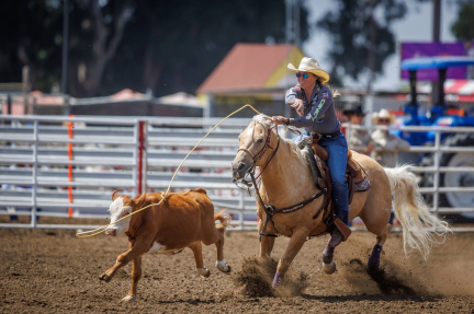California Salinas Rodeo
