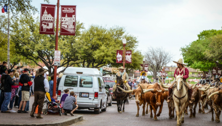 National Day of the American Cowboy