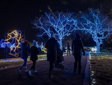 Garden of Lights