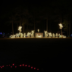 Festival of Lights