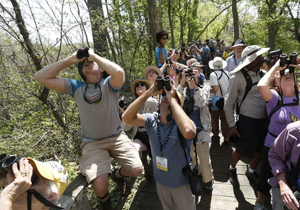 n7birding