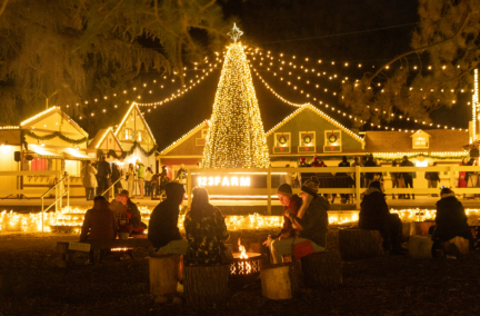 Christmas Nights