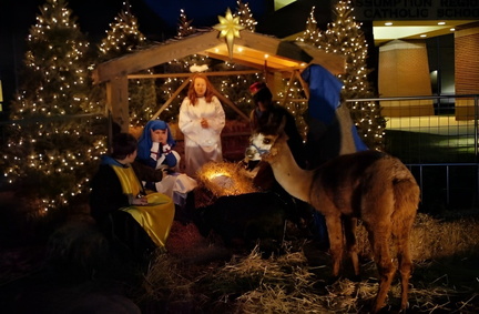 Live Nativity