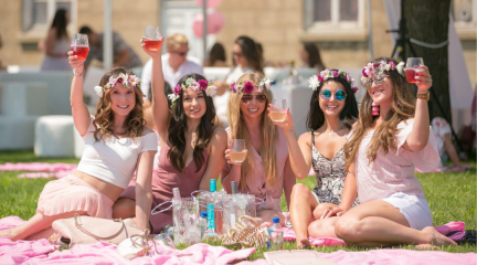 The Rosé Picnic