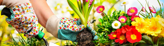 hero-banner-boise-flower-garden-show