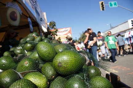 Fallbrook Avocado Festival