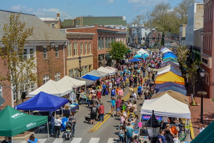 Bug &amp; Bud Festival