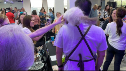 Houston Cat Expo
