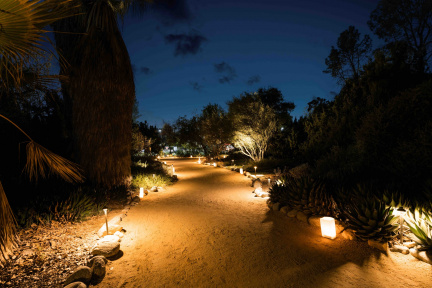 Luminaria Nights