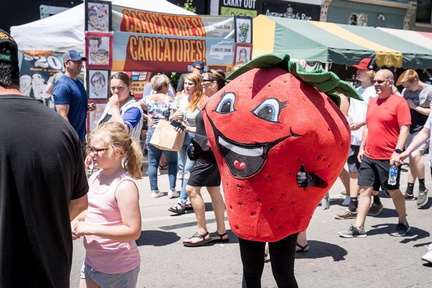Troy Strawberry Festival