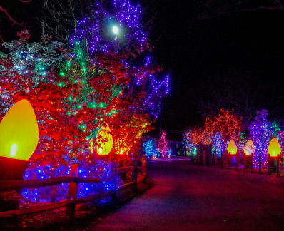 Holiday Lights Spectacular