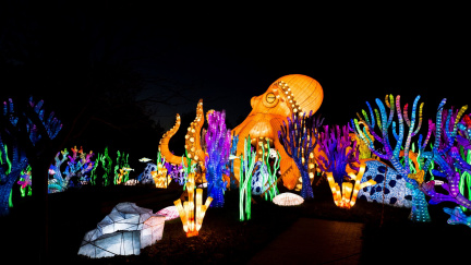 OAKLAND-LANTERN-FESTIVAL-SMALL-scaled