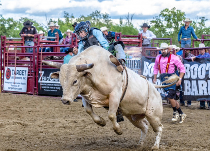 GOSHEN STAMPEDE