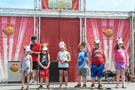 Sangamon County Fair