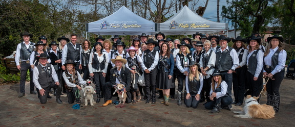 Swallows Day Parade