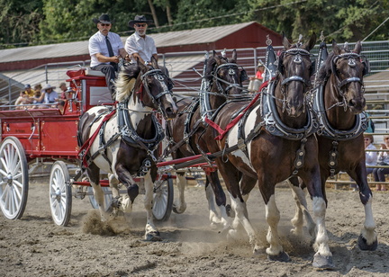 Whidbey Island Fair