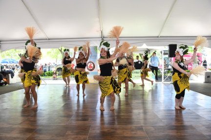 Cleveland Asian Festival