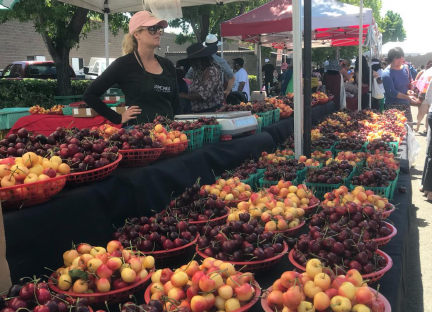 San Leandro Cherry Festival