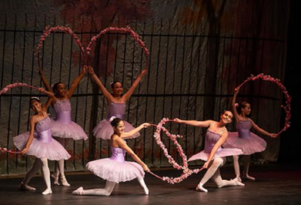Sleeping Beauty Ballet