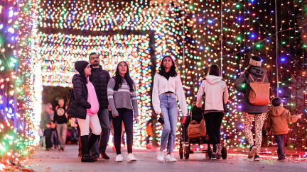 zoo lights official photo