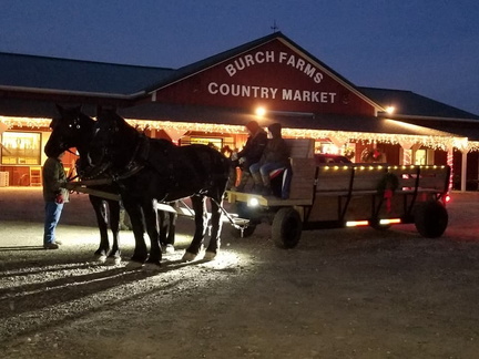 Butch Farms Private Carriage Rides