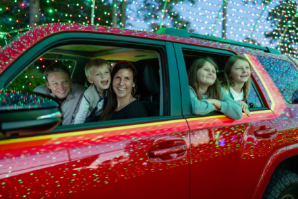 The Great Christmas Light Show     fb