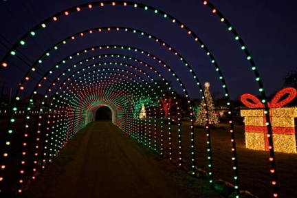 Lights-on-the-Farm