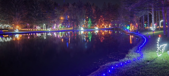 Woodland Lights