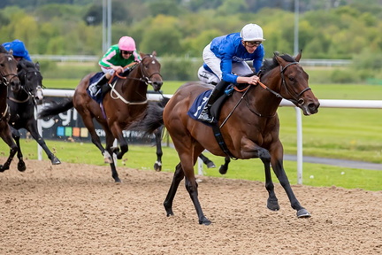 Boxing Day Racing