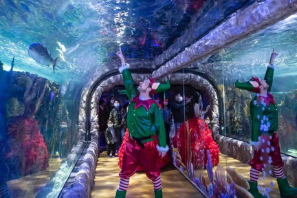 Christmas at Inbursa Aquarium