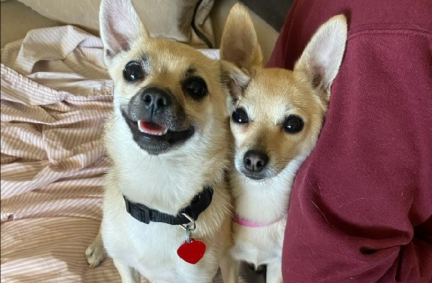 Chuck and Don's Adoption Event