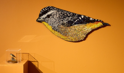 Time &amp; Materiality Maanz International Exhibition