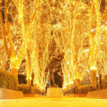 Pageant of Light